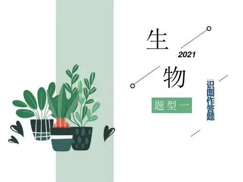 2021中考生物题型一    识图作答题