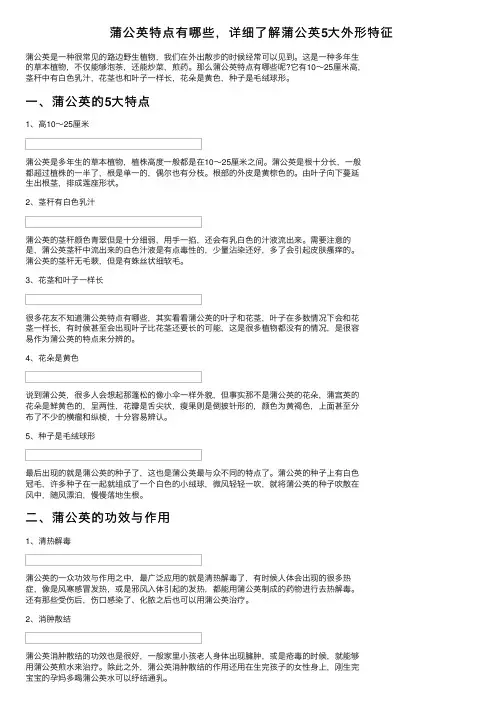 蒲公英特点有哪些，详细了解蒲公英5大外形特征