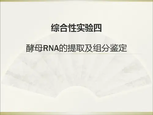 酵母RNA的提取及组分鉴定