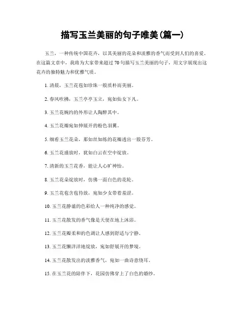 描写玉兰美丽的句子唯美(精选两篇)