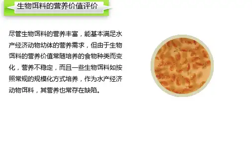生物饵料简介—生物饵料的营养价值(生物饵料培养课件)