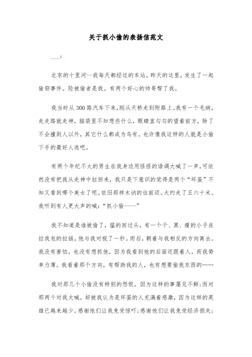 关于抓小偷的表扬信范文（6篇）