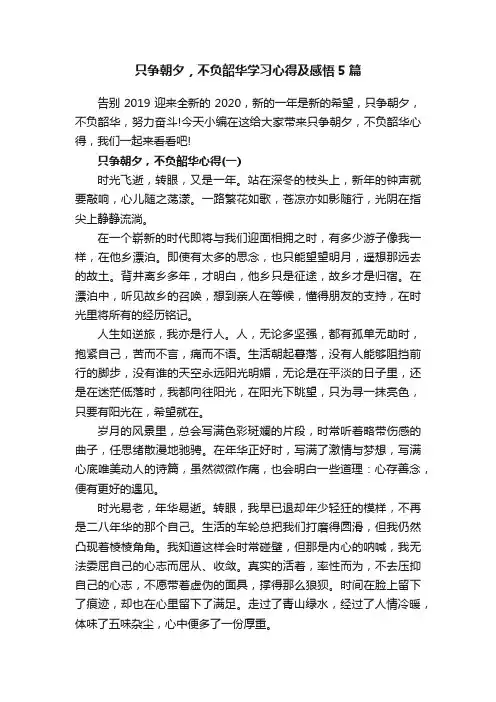 只争朝夕，不负韶华学习心得及感悟5篇