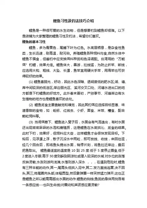 鲤鱼习性及钓法技巧介绍