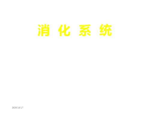 消化系统 PPT课件
