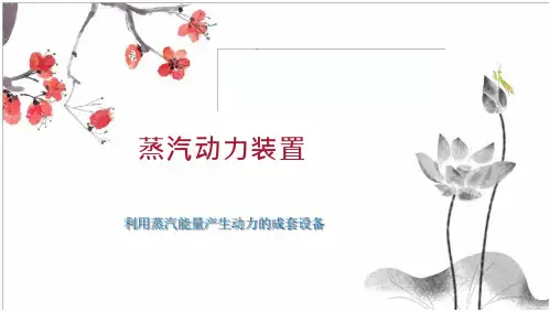 蒸汽动力装置