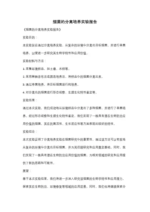 细菌的分离培养实验报告