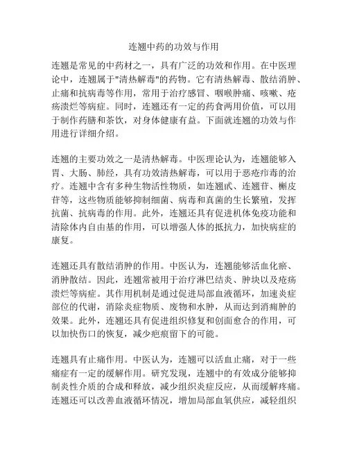 连翘中药的功效与作用