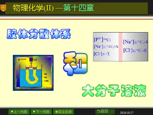 物理化学课件第十四章胶体与大分子溶液(2014