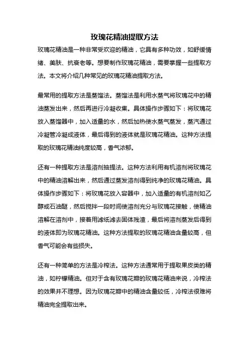 玫瑰花精油提取方法