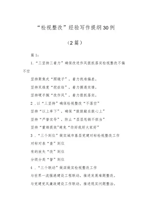 “检视整改”经验写作提纲30例(2篇)