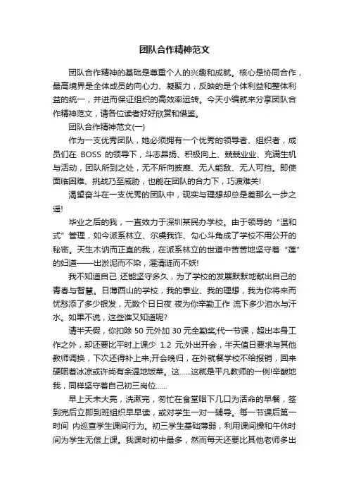 团队合作精神范文