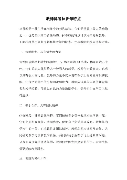 教师隐喻抹香鲸特点