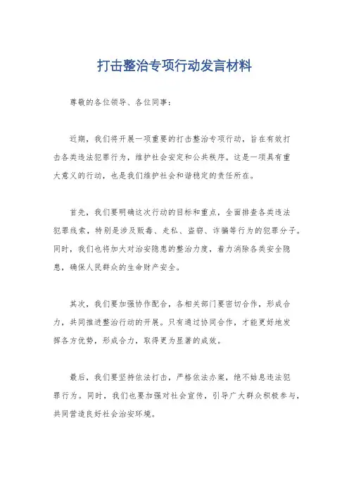 打击整治专项行动发言材料