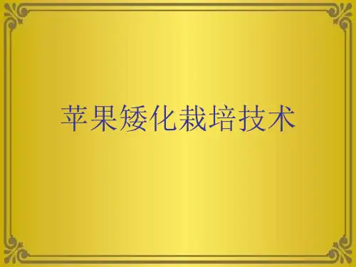 苹果矮化栽培技术优秀课件