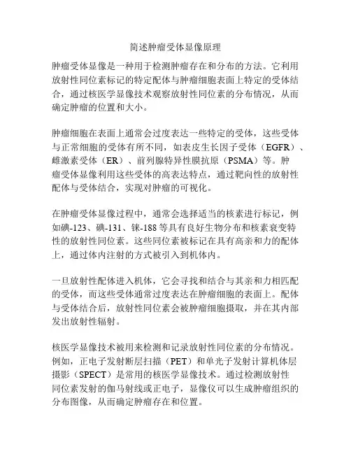 简述肿瘤受体显像原理