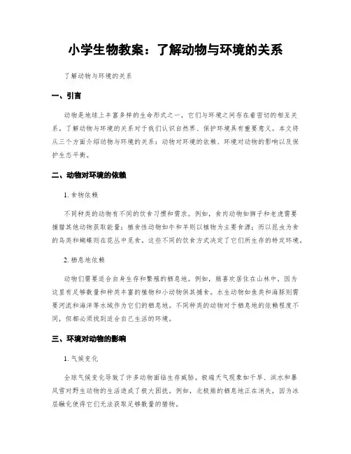 小学生物教案：了解动物与环境的关系