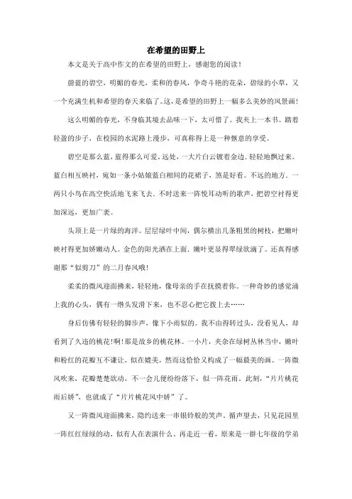 在希望的田野上_高中作文