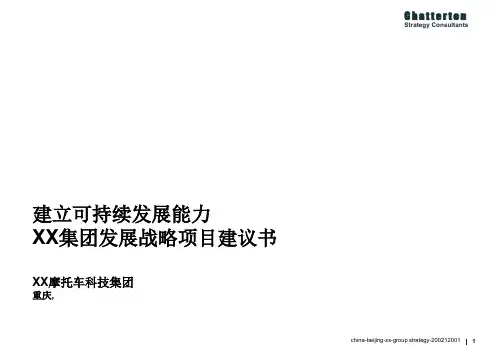 XX集团发展战略项目建议书(PPT 64页)