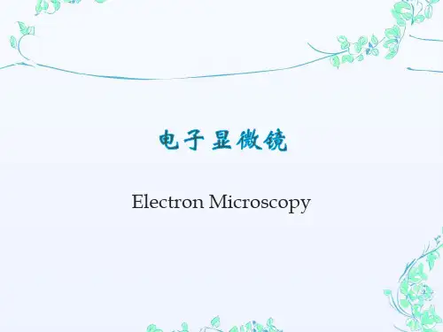 电子显微镜培训资料