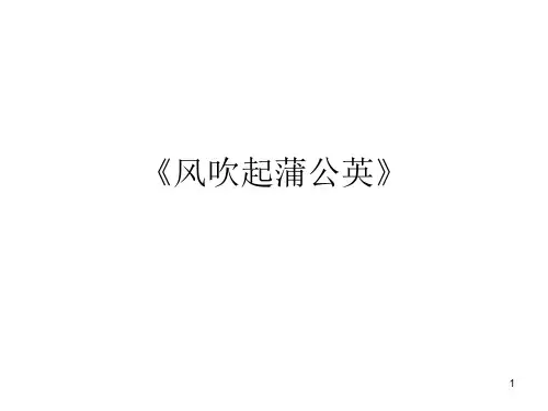 风吹起蒲公英》