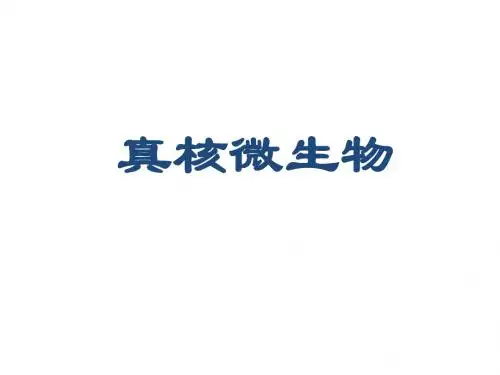 真核微生物