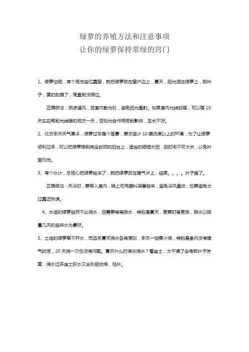绿萝的养殖方法和注意事项