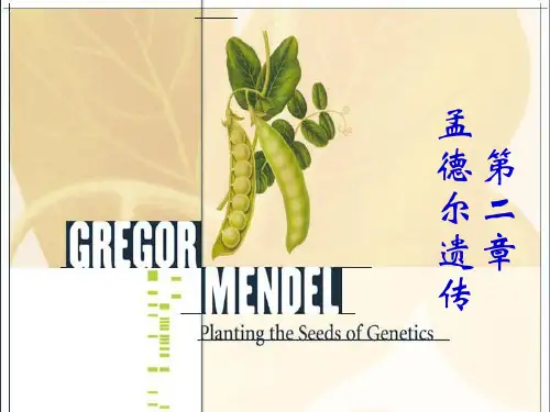 (完整版)第二章 孟德尔遗传分析
