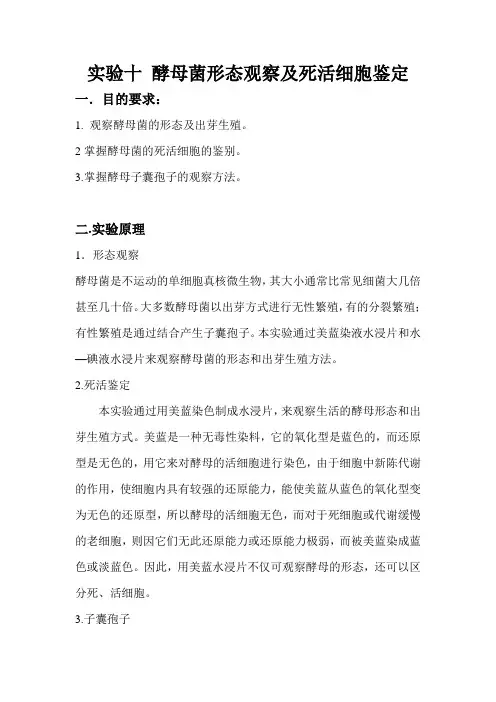 实验十_酵母菌形态观察及死活细胞鉴定
