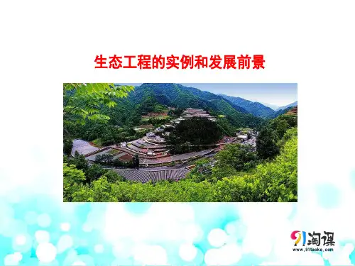 课件7：5.2 生态工程的实例和发展前景