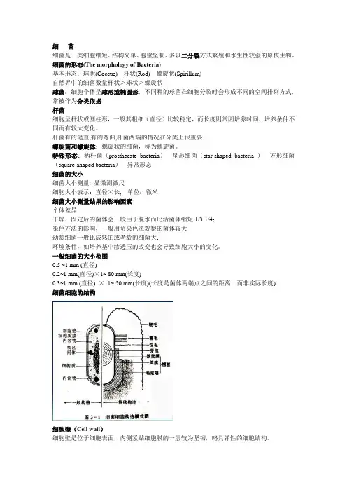微生物