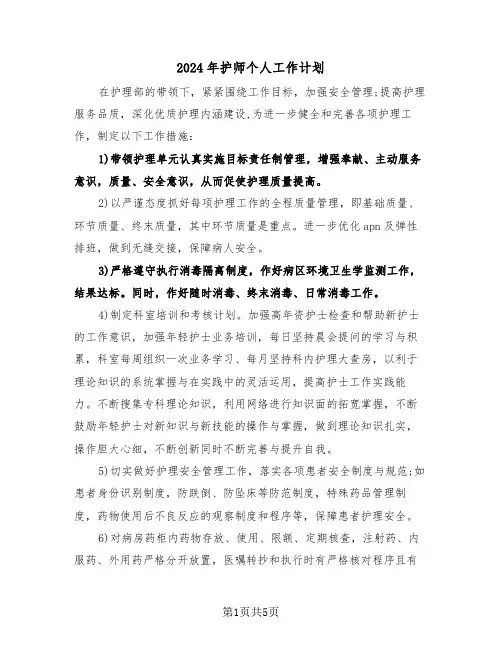 2024年护师个人工作计划（3篇）