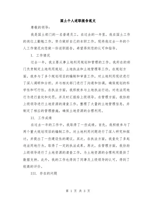 国土个人述职报告范文