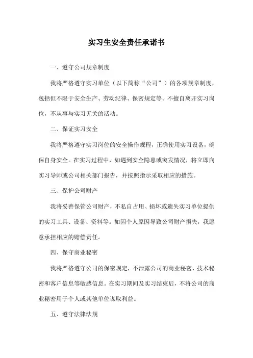实习生安全责任承诺书