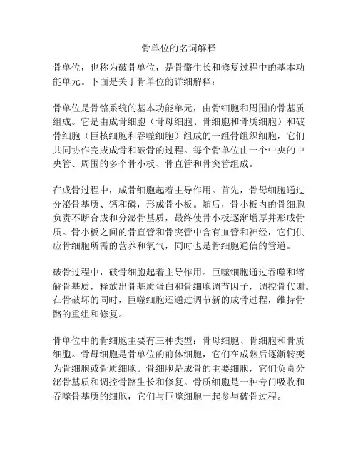 骨单位的名词解释