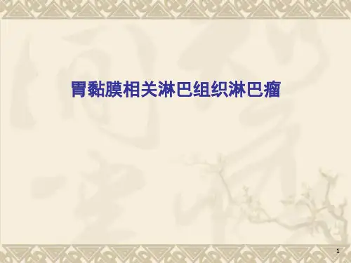 胃黏膜相关淋巴组织淋巴瘤精品PPT课件