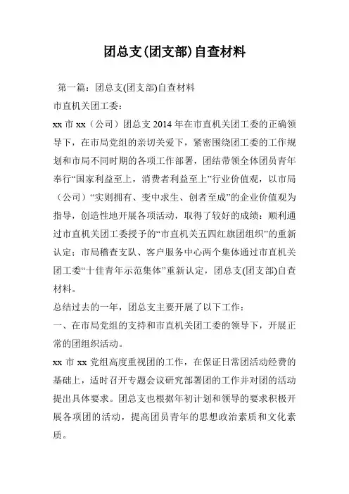 团总支(团支部)自查材料