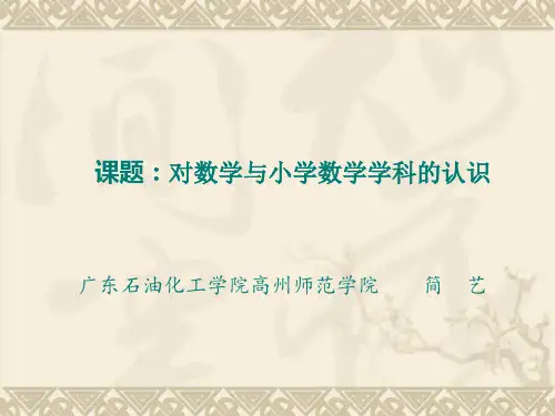 对数学与小学数学学科认识