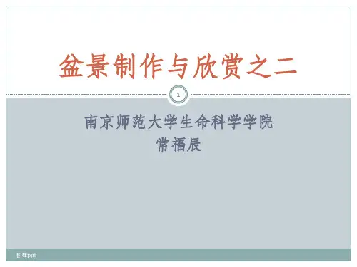 盆景制作与欣赏