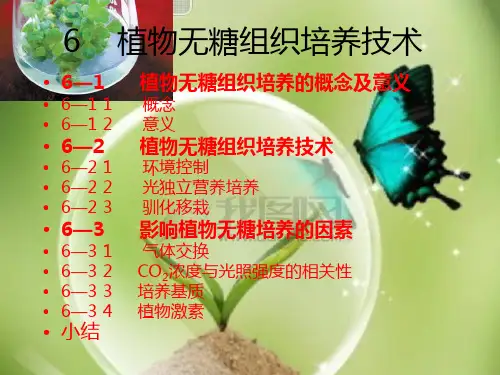 植物无糖组织培养技术