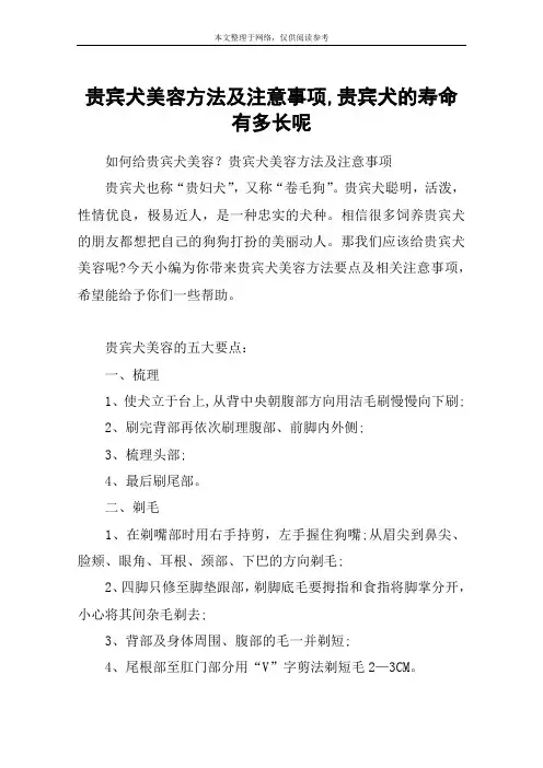贵宾犬美容方法及注意事项,贵宾犬的寿命有多长呢