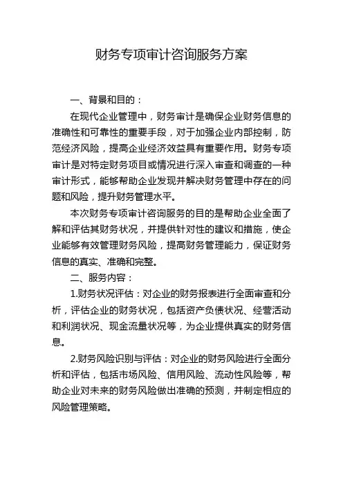 财务专项审计咨询服务方案