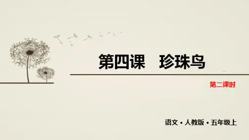 《珍珠鸟》PPT课件完美版1