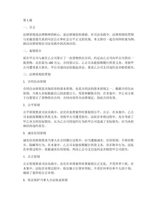 贯彻法律的原则的案例(3篇)