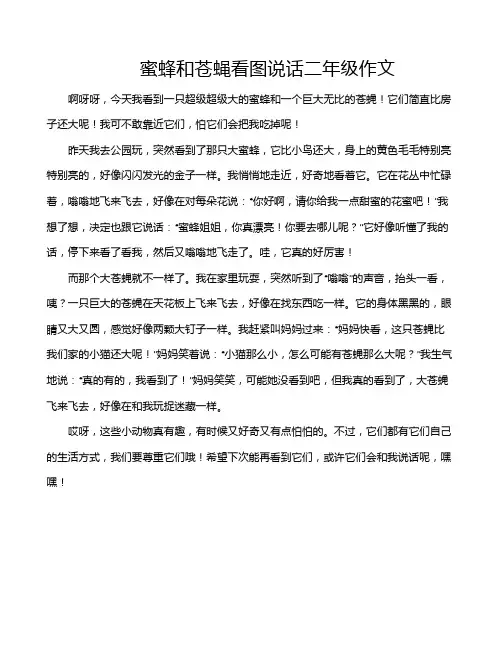 蜜蜂和苍蝇看图说话二年级作文