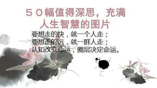 50幅值得深思,充满人生智慧的图片