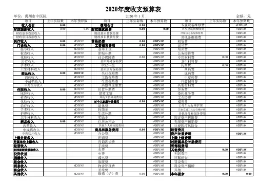 2020年度公立医院收支预算表