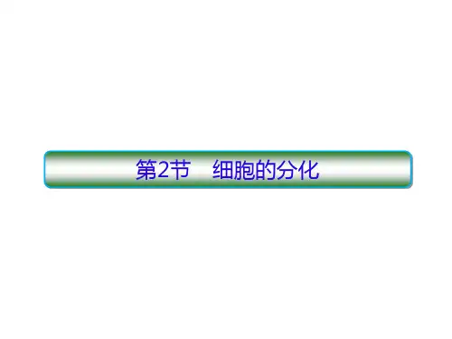 高中生物新人教版必修1细胞的分化课件(共47张)