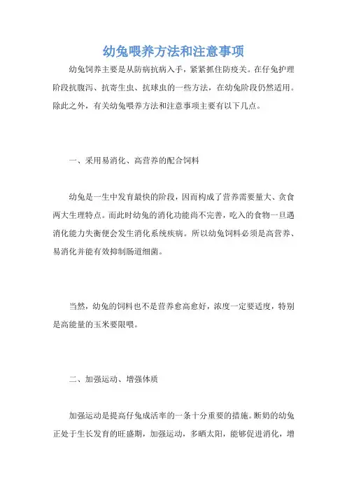 幼兔喂养方法和注意事项