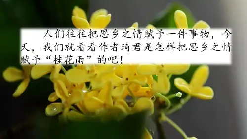 (部编版)小学语文五级上册《桂花雨》PPT完美课件
